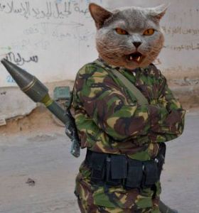 ��� ������� ���, ��������������� ��� ���� 